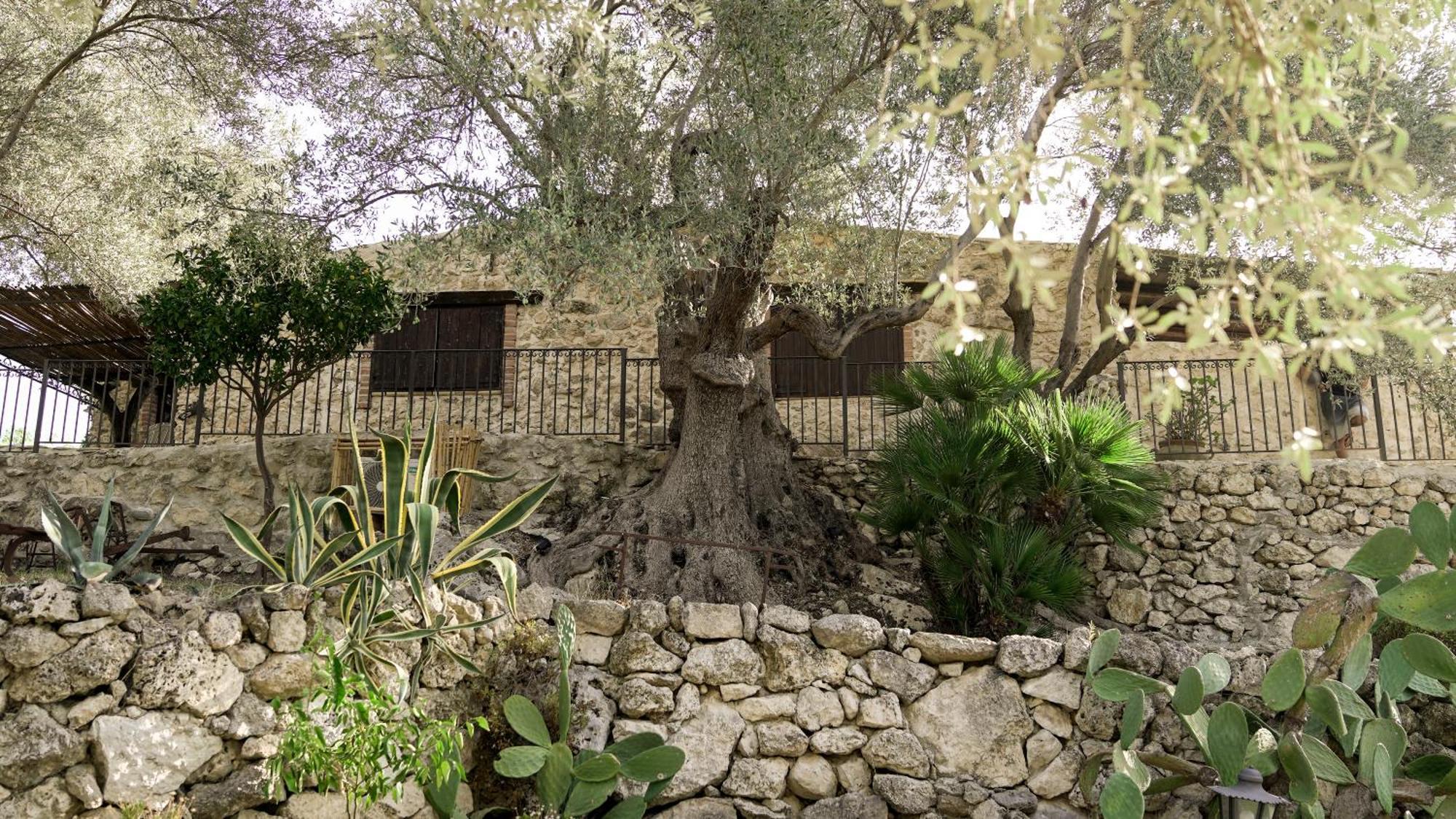 Bed and Breakfast Roba Degli Ulivi Agrigent Exterior foto