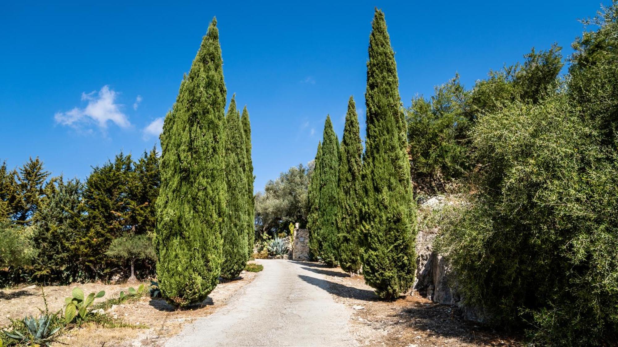 Bed and Breakfast Roba Degli Ulivi Agrigent Exterior foto