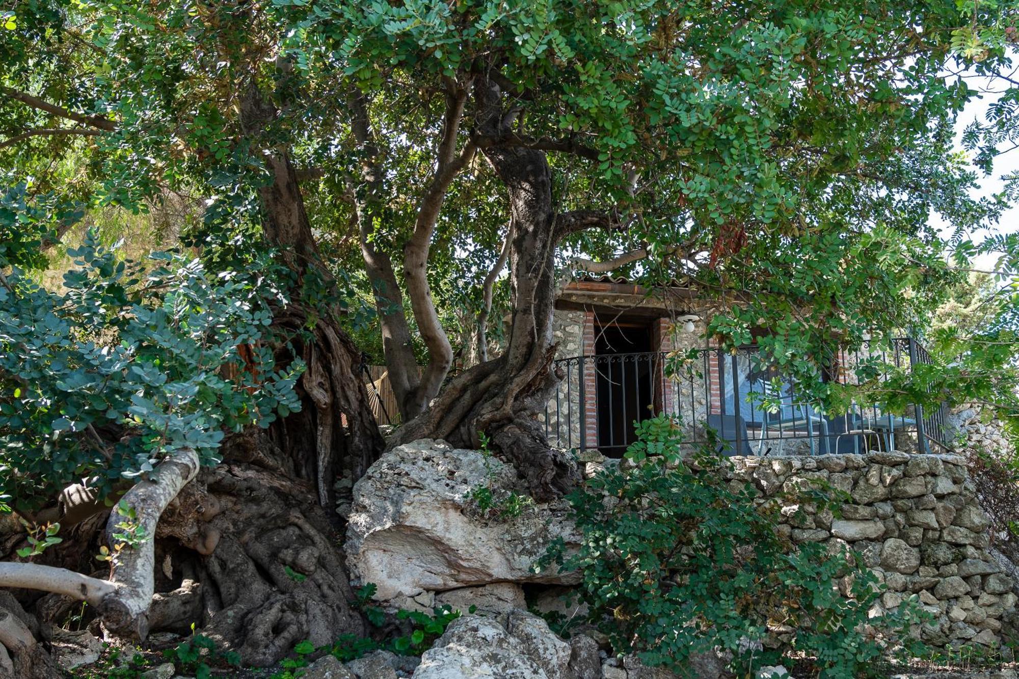 Bed and Breakfast Roba Degli Ulivi Agrigent Exterior foto